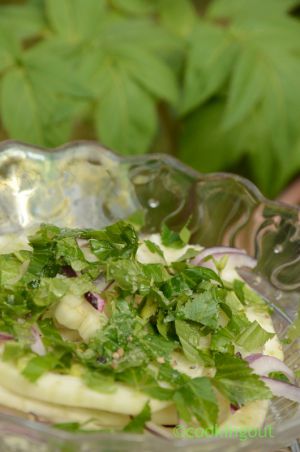 Recette Fenouil et angélique une salade très printannière