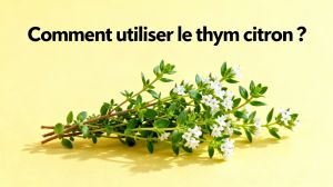 Recette Découvrez les bienfaits incroyables du thym citron