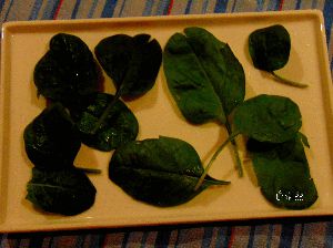 Recette Salade d'avocats et pois chiches