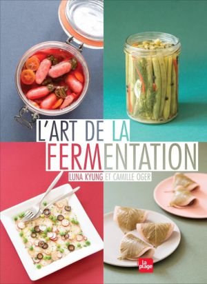 Recette Lactofermentation maison : la choucroute + idée recette