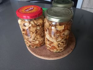 Recette Pieds de mouton (champignons) au vinaigre