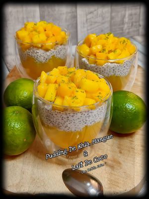 Recette Pudding De Chia, Mangue & Lait De Coco
