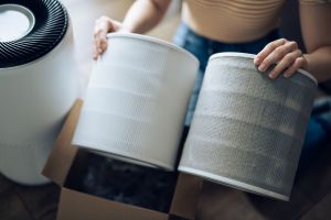 Recette How an Air Purifier at Home Could Help Lower Your Blood Pressure