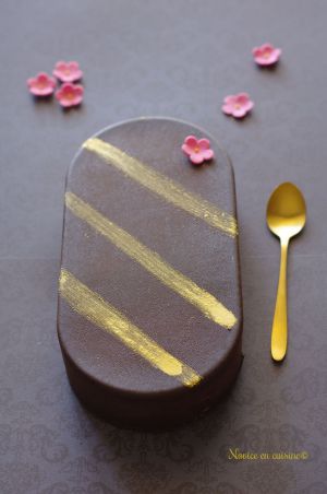 Recette Entremet chocolat/framboises/citron