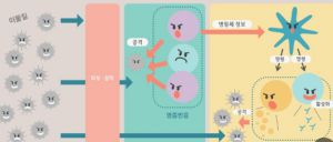 Recette 면역 강화를 위한 건강한 생활 습관