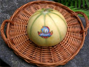 Recette Melon au Jambon de Bayonne