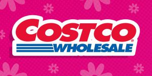Recette Costco’s 6 Best Frozen Desserts
