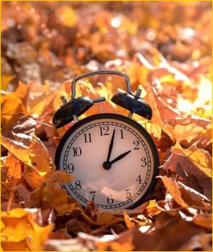 Recette Mes fleurs du dimanche