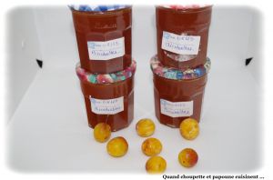 Recette Confiture de mirabelles au tm