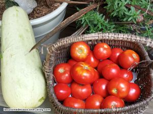Recette Légumes du potager et recettes