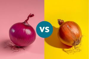 Recette Red Onion vs Yellow Onion: Which Has More Flavonoids?