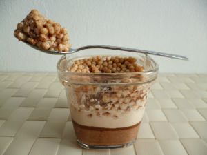 Recette Yaourts maison diététiques chocolat noisette au crumble de céréales protéinées (sans sucre et sans beurre)