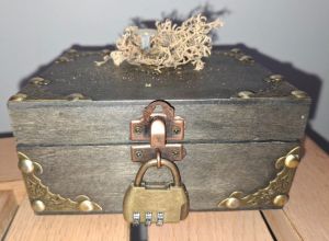 Recette Coffre Elfique : l’ultime secret du repas