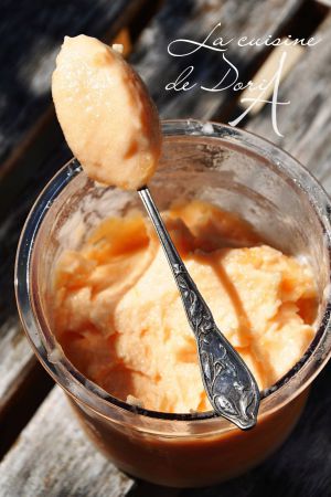 Recette Sorbet de melon au Ninja Creami