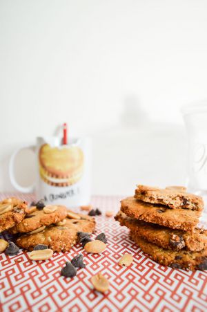 Recette Biscuits Vegan choco-cacahuètes {comme des Belvitas de LU}