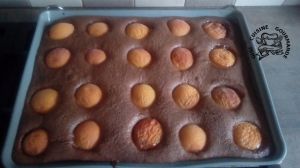 Recette Gâteau abricots et chocolat