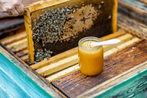 Recette Miel fait-il grossir ? Découvrez la vérité sur ce sucre naturel