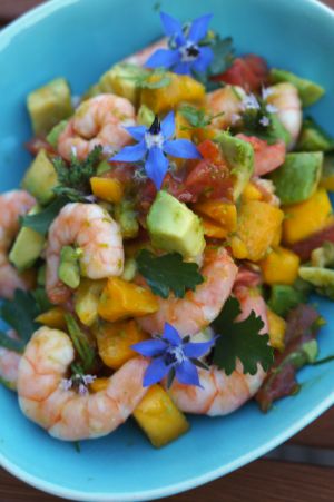 Recette Salsa Mangue Avocat Tomates