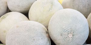 Recette I Asked 4 Farmers How to Pick the Best Cantaloupe, And They All Said the Same Thing