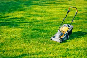 Recette Ce secret bien caché sous la pelouse pourrait valoir bien plus que vous ne l’imaginez