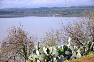 Recette Circuit vélo du Golf de Saint-Cyprien au Lac de Villeneuve-de-la-Raho, Pyrénées Orientales