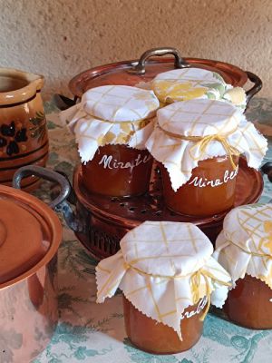 Recette Confiture de mirabelles au Gewurzt & à la cannelle