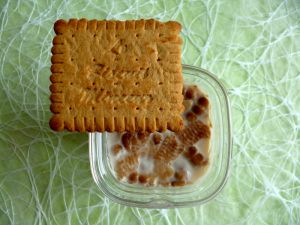 Recette Yaourts maison allégés aux biscuits minceur diététiques et hyperprotéinés à seulement 80 kcal (sans sucre et riches en fibres)