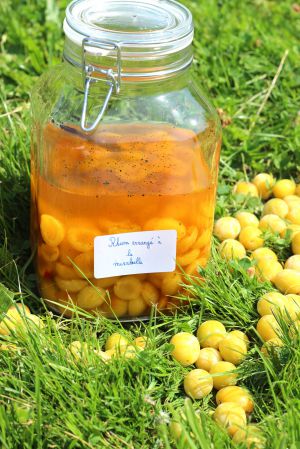 Recette Rhum arrangé à la mirabelle