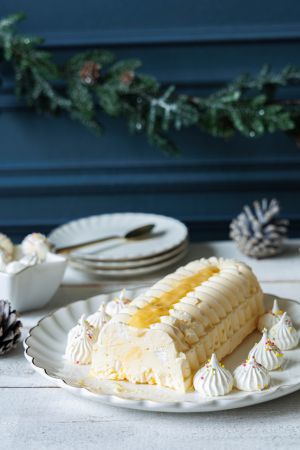 Recette Bûche glacée aux agrumes ultra facile