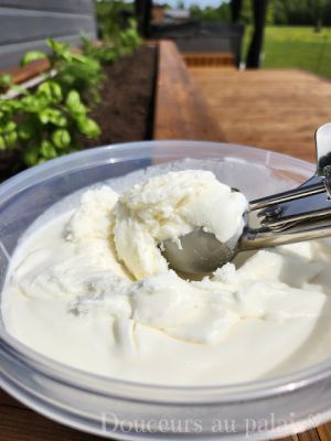 Recette Crème glacée au lait de coco