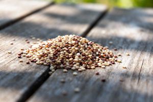 Recette Gluten dans le quinoa : Mythe ou réalité pour votre santé ?