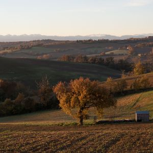 Recette Heures dorées