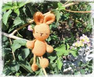 Recette Petit lapin aux longs membres