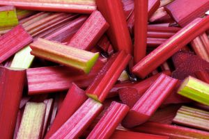 Recette 1 fruit, 6 idées recettes : la rhubarbe