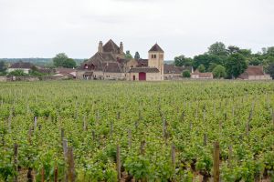 Recette Quand les vins des régions françaises magnifient un couscous