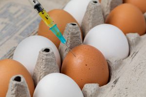 Recette Should You Worry About Antibiotic Residues in Your Food?