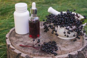 Recette What Happens to Your Blood Sugar and Immune System When You Take Elderberry?