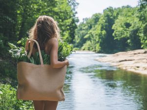 Recette Routines zéro déchet : Simplifiez votre quotidien sans produits animaux