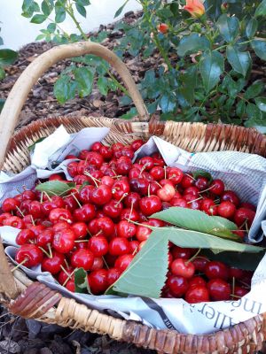 Recette Crumble pommes, cerises