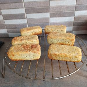 Recette Mini pains de thon de Gigi (au cake factory)