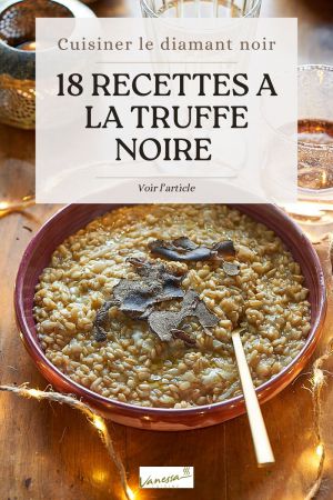 Recette 18 recettes à la Truffe Noire