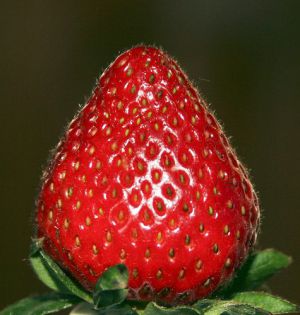 Recette Glace a la fraise