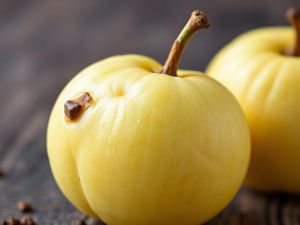 Recette Découvrez la pomme de terre Ratte : Saveurs uniques et utilisations culinaires !