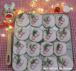 Recette Toasts au tarama, radis et aneth