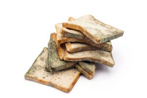 Recette Ce que 9 Français sur 10 ignorent sur le pain de mie périmé (et pourquoi c’est une erreur)