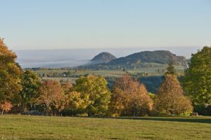 Recette Dans les forêts du Meygal