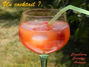 Recette Cocktail Sully