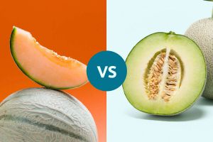 Recette Honeydew vs. Cantaloupe: Which Melon Offers More Vitamins and Hydration Benefits?