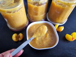 Recette Marmelade de mirabelles au robot I-Companion Touch XL (sans vrai sucre, ig bas/low carb)