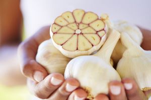 Recette What Happens to Your Cold Symptoms When You Eat Garlic?